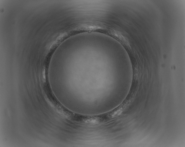 X0000074340358200608251356