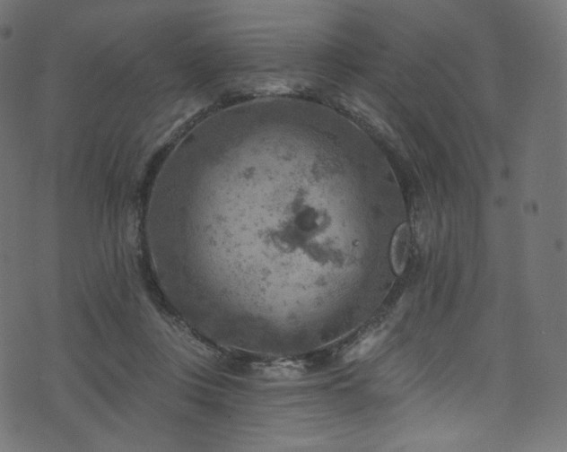 X0000074340359200608251356