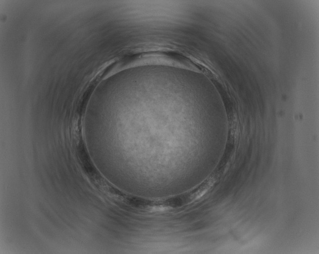 X0000074340360200608251356