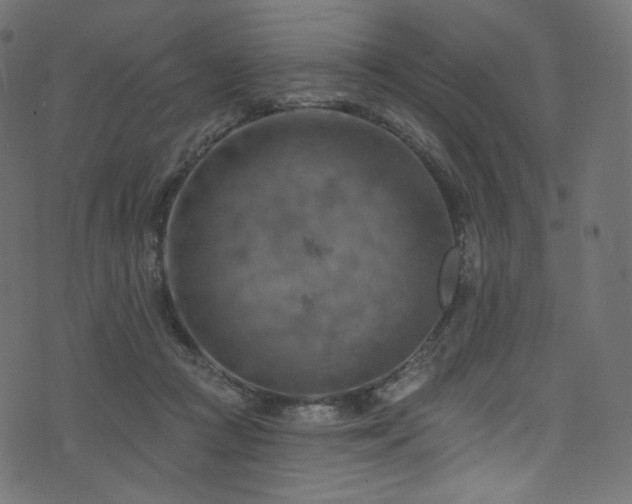 X0000074340361200608251356