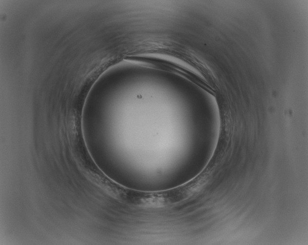 X0000074340362200608251356