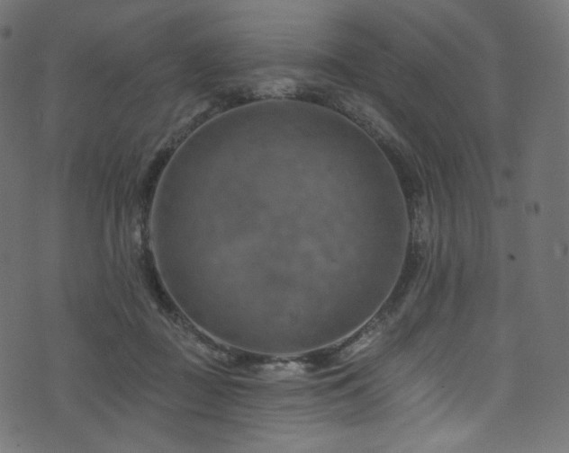 X0000074340363200608251356