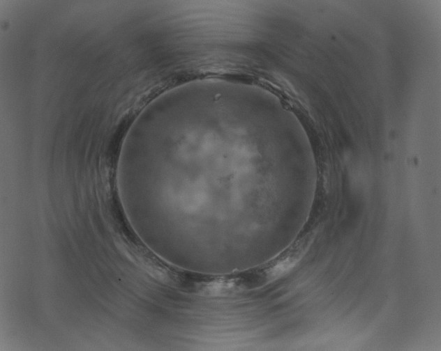 X0000074340366200608251357