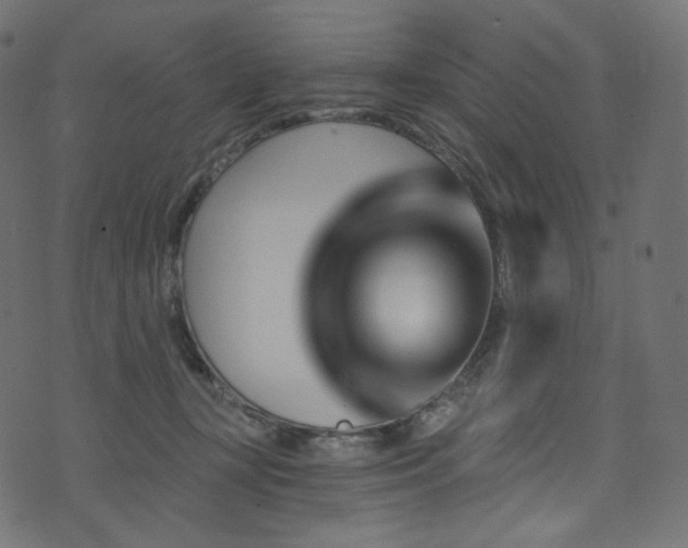 X0000074340367200608251357