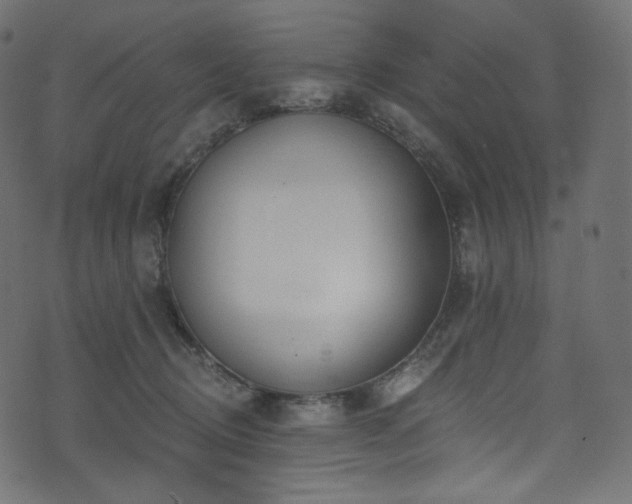 X0000074340370200608251357