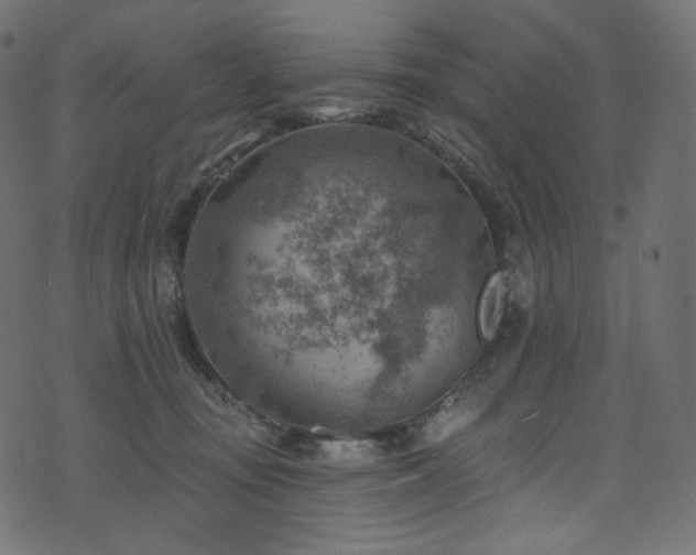 X0000074340371200608251357