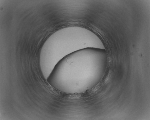 X0000074340373200608251357