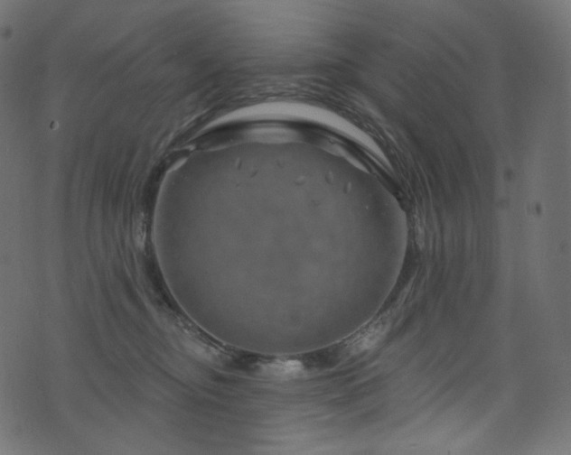 X0000074340374200608251357