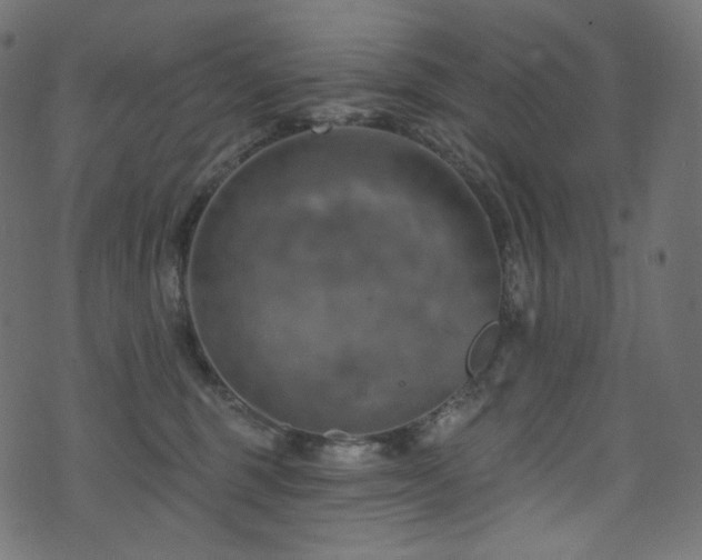 X0000074340375200608251357