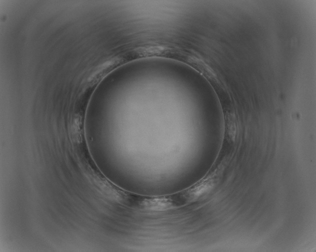 X0000074340378200608251357