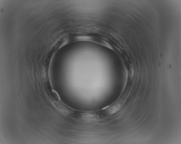 X0000074340380200608251357