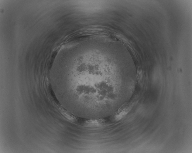 X0000074340381200608251357