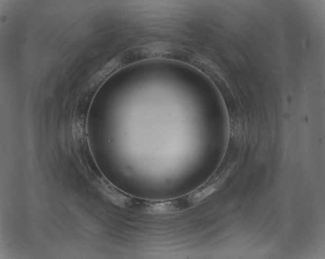 X0000074340382200608251357