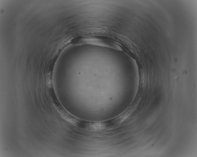 X0000074340383200608251357