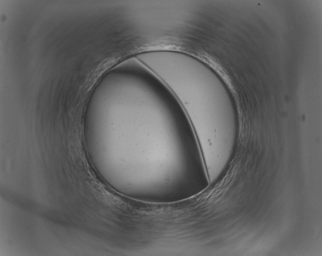 X0000074340385200608251356