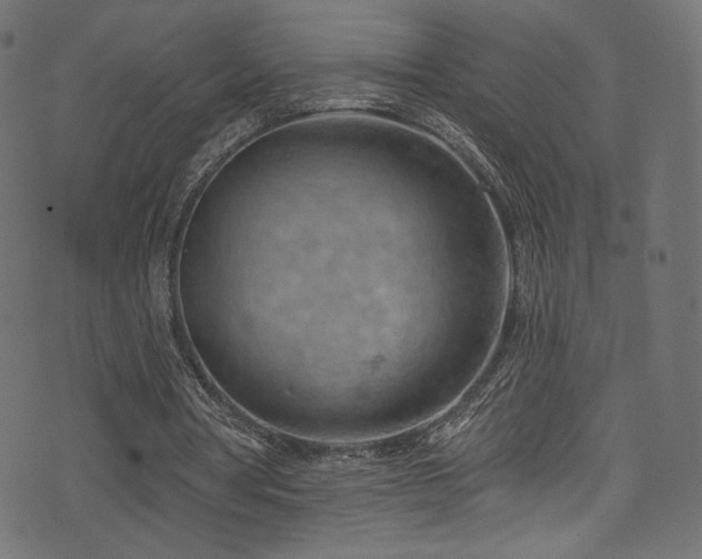 X0000074340386200608251356