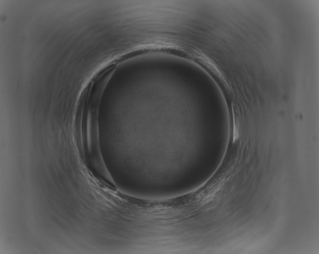 X0000074340387200608251356