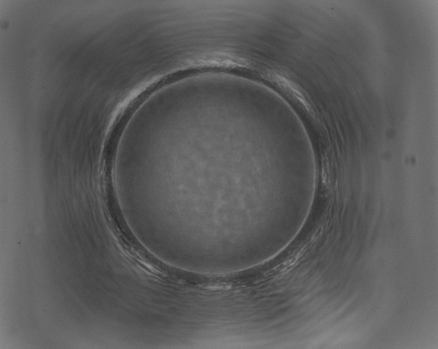 X0000074340388200608251356