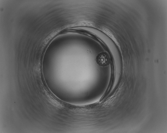 X0000074340389200608251356