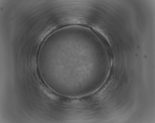 X0000074340390200608251356