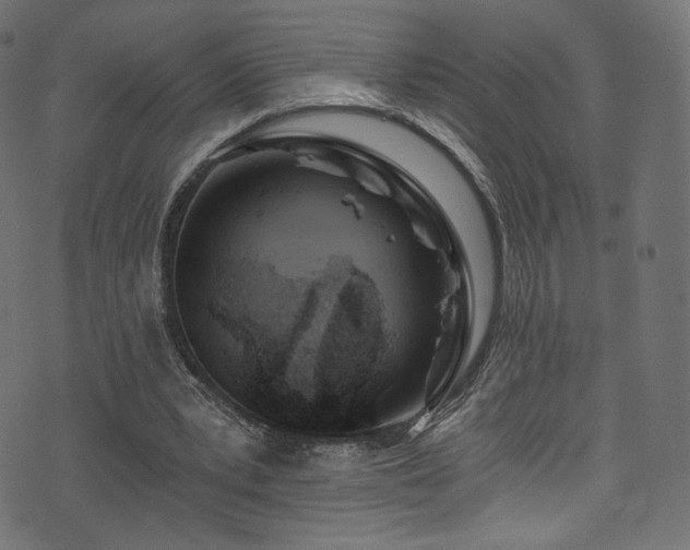 X0000074340391200608251356