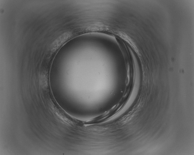 X0000074340393200608251356