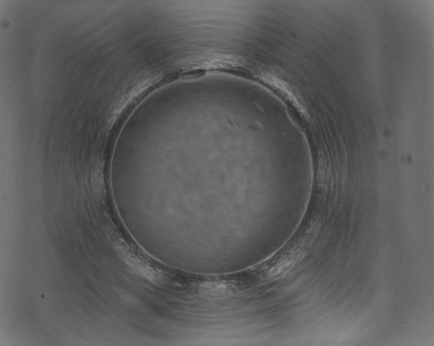 X0000074340394200608251356