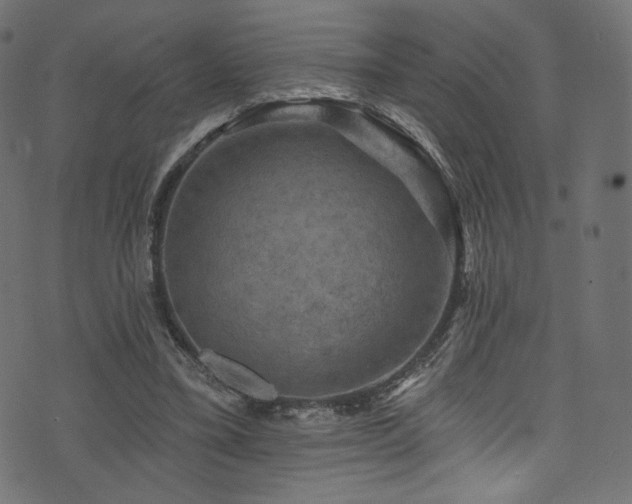 X0000074340395200608251356