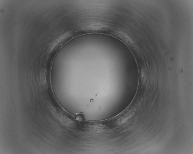 X0000074340396200608251356