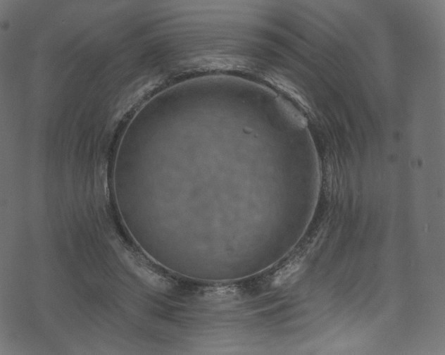 X0000074340398200608251356