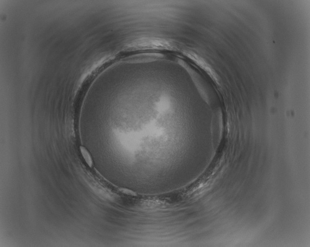 X0000074340399200608251356