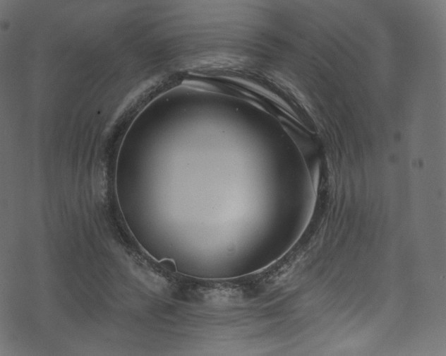 X0000074340400200608251356