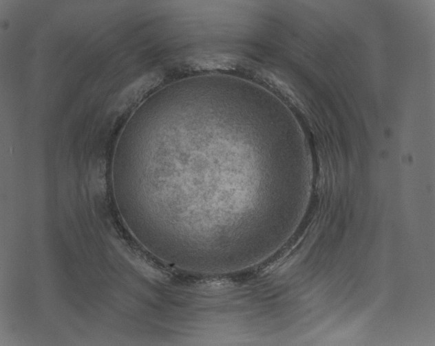 X0000074340402200608251356