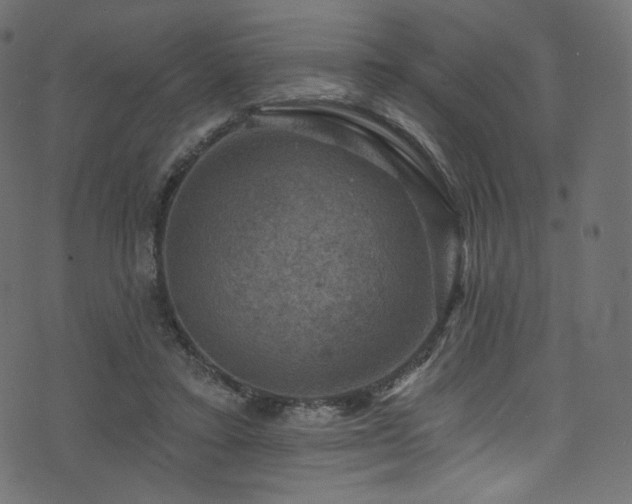 X0000074340403200608251356