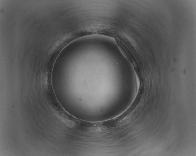 X0000074340404200608251356