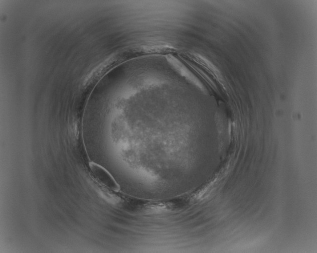 X0000074340405200608251356