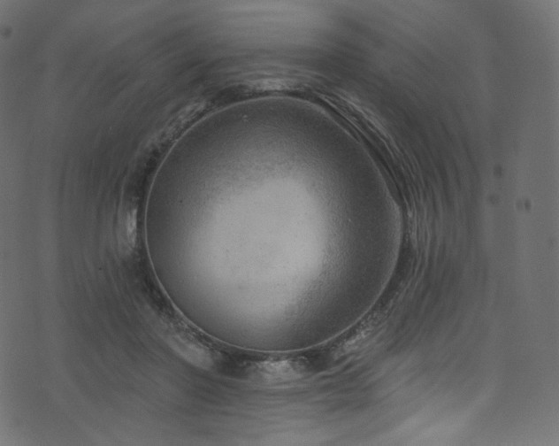 X0000074340406200608251356