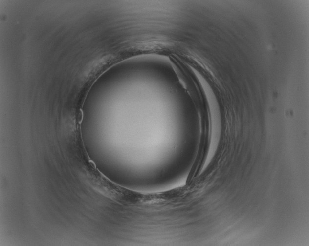 X0000074340407200608251356