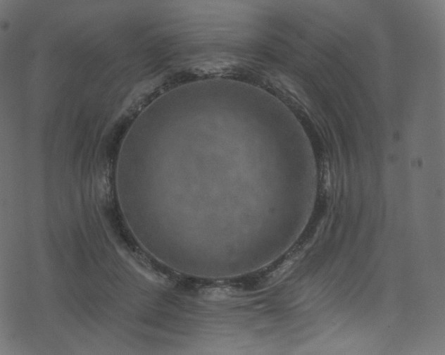 X0000074340408200608251356