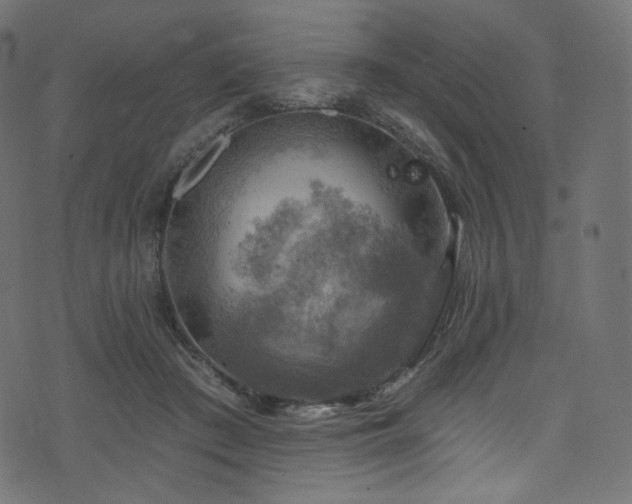 X0000074340409200608251356