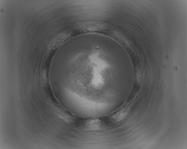 X0000074340410200608251356