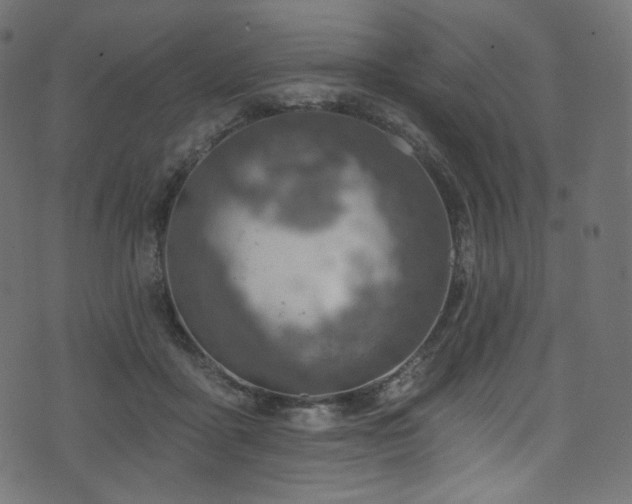 X0000074340411200608251356