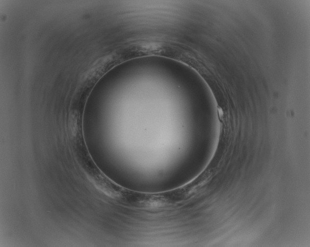 X0000074340412200608251356