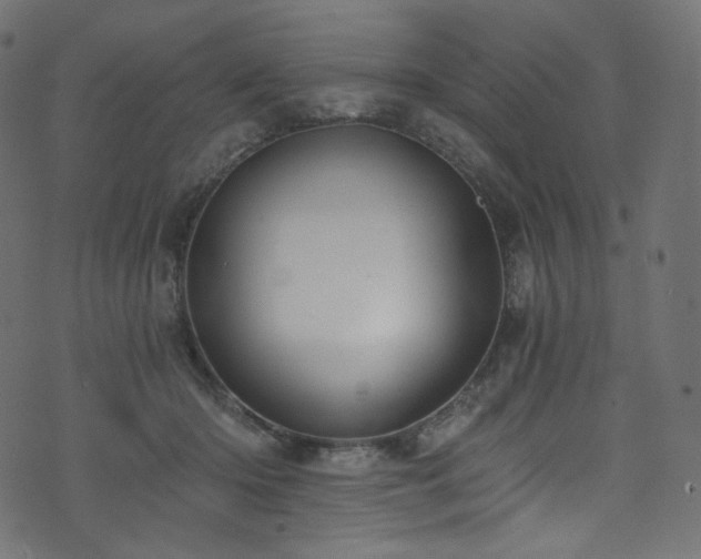 X0000074340414200608251356