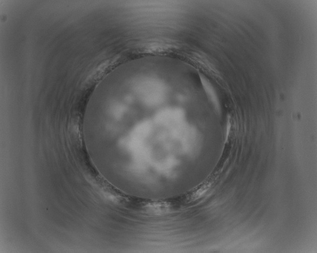 X0000074340415200608251356