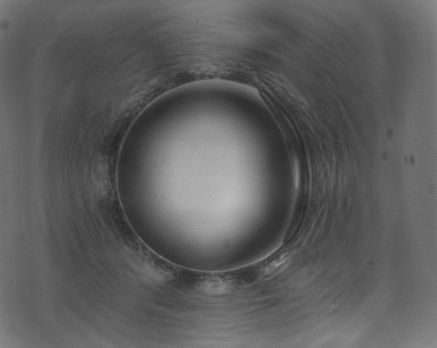 X0000074340416200608251356