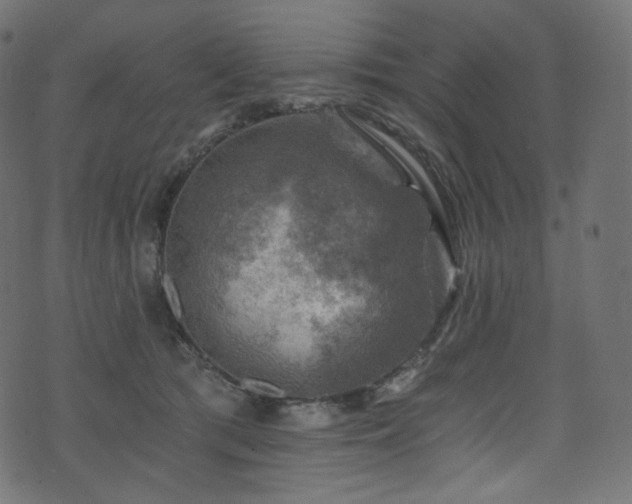 X0000074340417200608251356