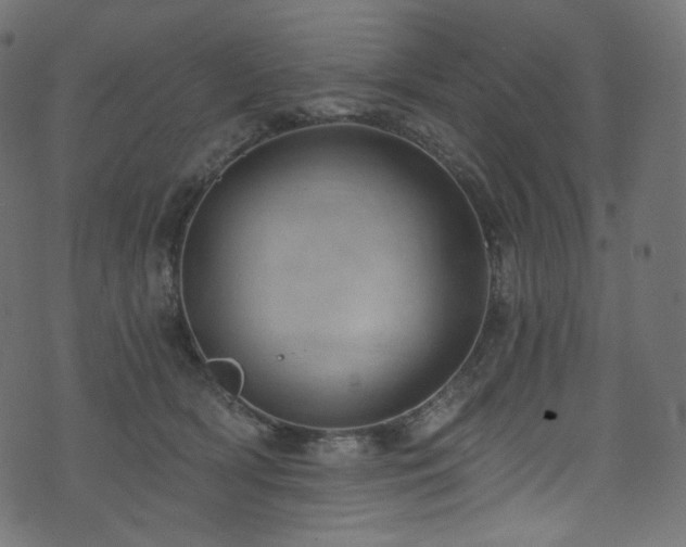 X0000074340418200608251356