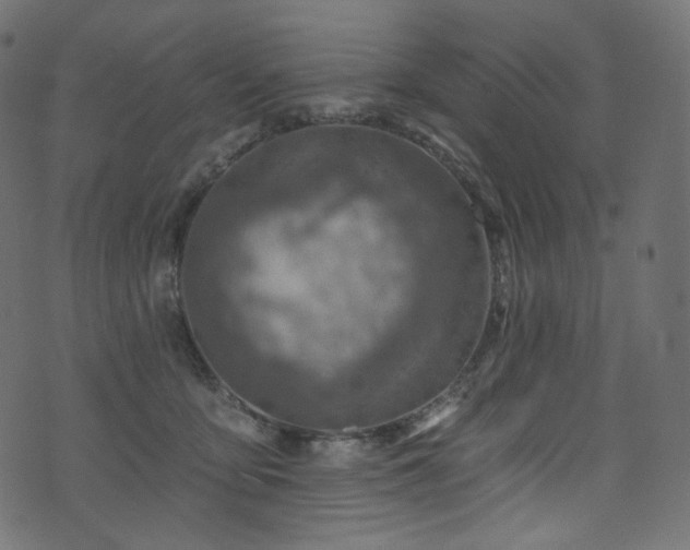 X0000074340419200608251356