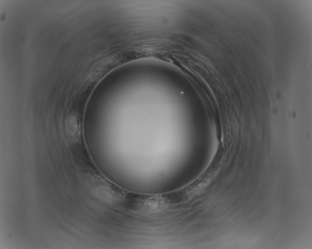 X0000074340420200608251355